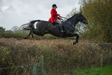 hunting pictures