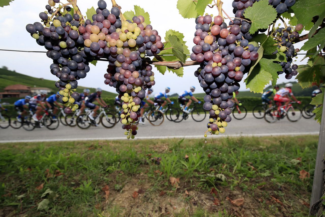 Gran Piemonte 2020 - 104th Edition - Santo Stefano Belbo - Barolo 187 km - 12/08/2020 - Scenery - Barolo - photo Luca Bettini/BettiniPhoto&Acirc;&copy;2020