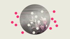 Illustration of colour leaching out of a coral