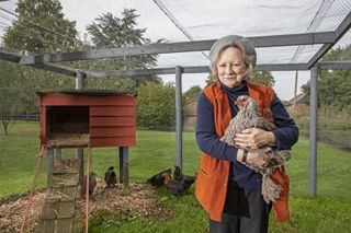 ANIMAL MAGIC - Chickens - Carla Carlisle with her rare chickens photographed at her home in Bury St Edmunds. Pictures by Richard Cannon