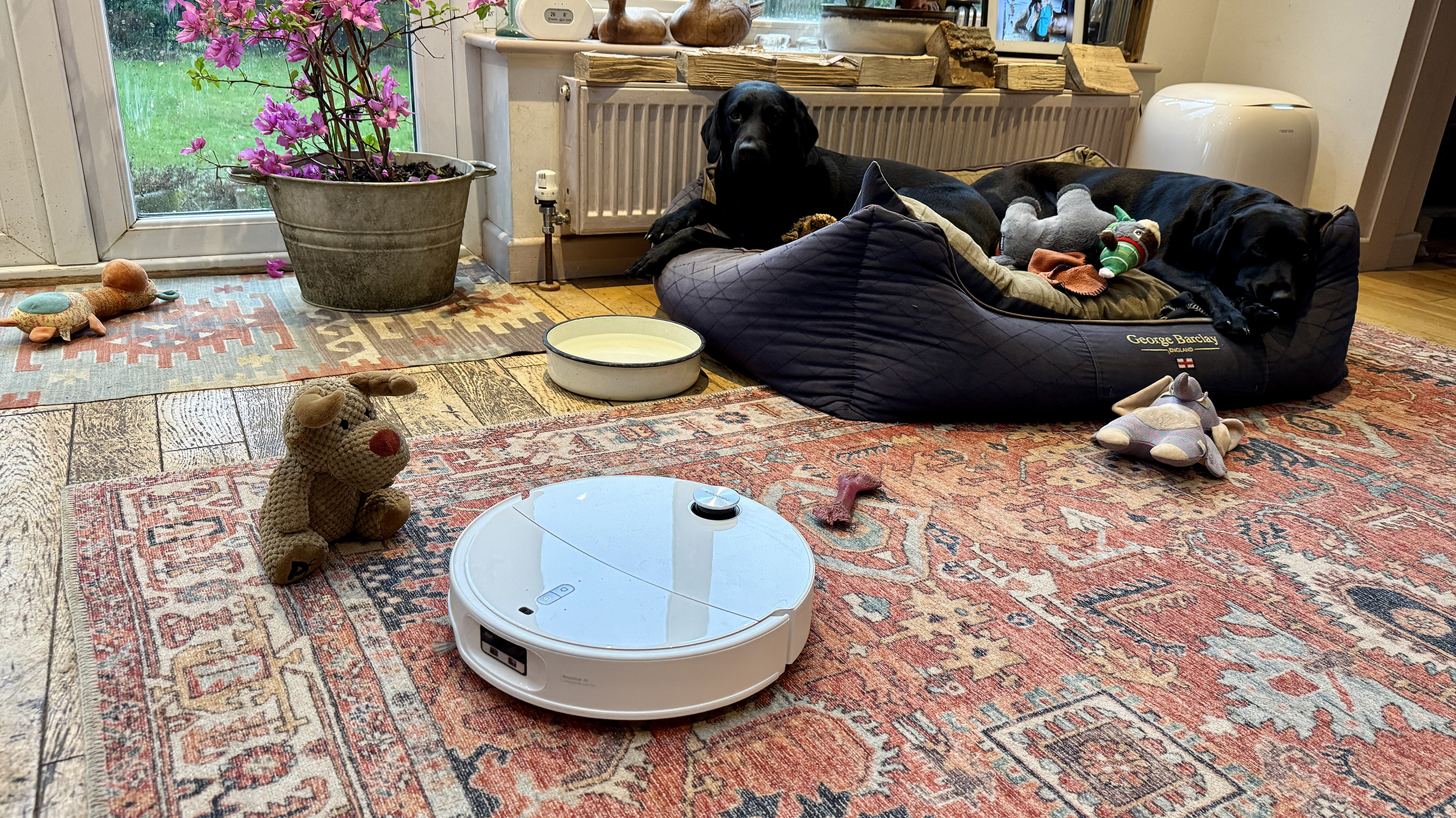 Roborock Qrevo Curv 2 Pro avoiding obstacles including a wire and dog toys, on a patterned rug