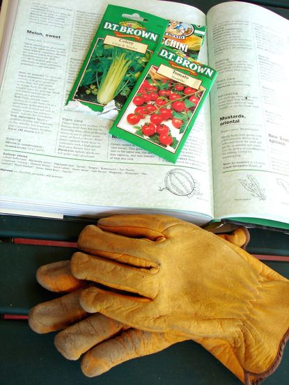 Packets Of Vegetable Seeds On Open Gardening Book