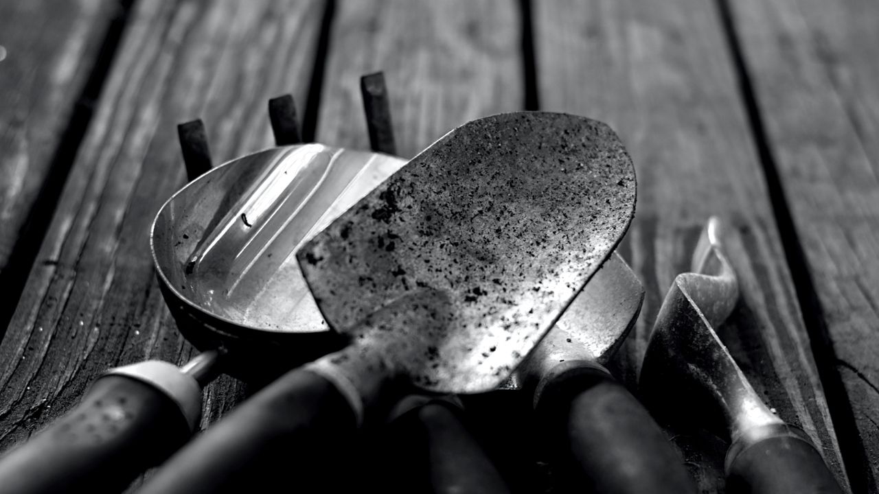 Gardening tools in black and white