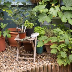 A garden with potted plants