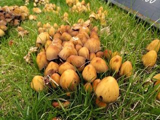 BlackBerry KEYone sample photo