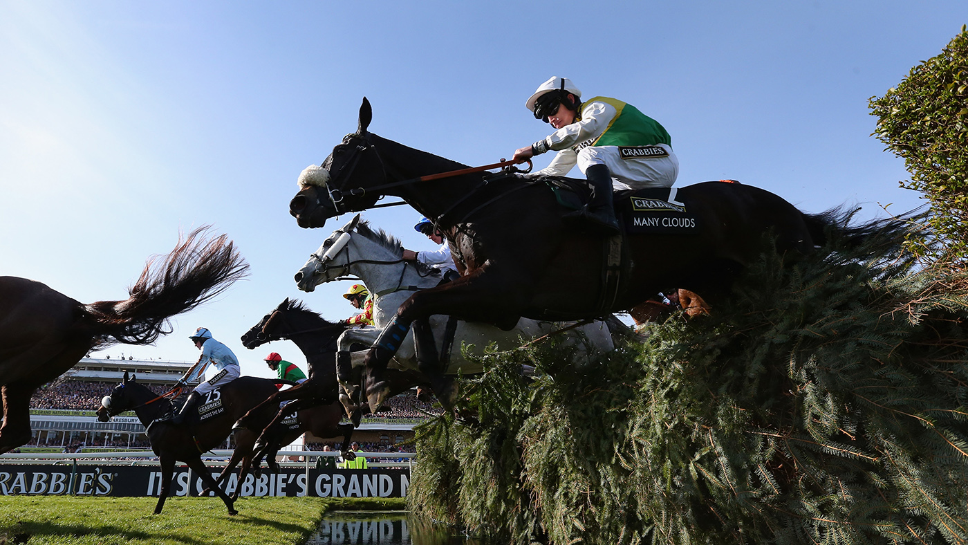 2015 Crabbie's Grand National