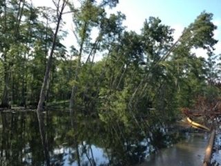 Bayou Corne sinkhole