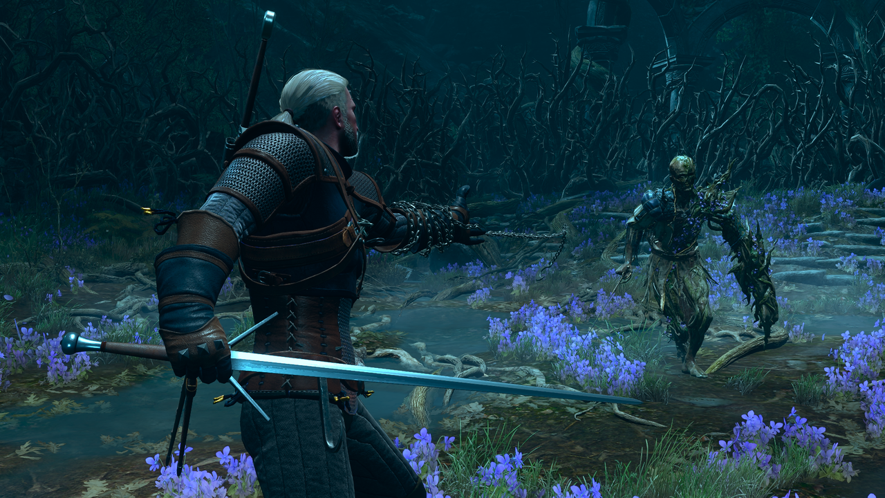 The Witcher 3 Songs of the Past