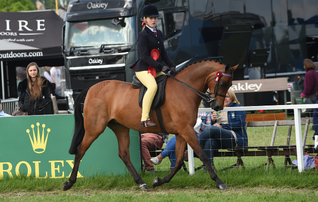 Georgina Holmes riding Wilderness Early Bird, Champion Show Pony Championship during Saturday of the Royal Windsor Show, in the grounds of Windsor Castle in Windsor in the county of Berkshire, UK on 14th May 2016