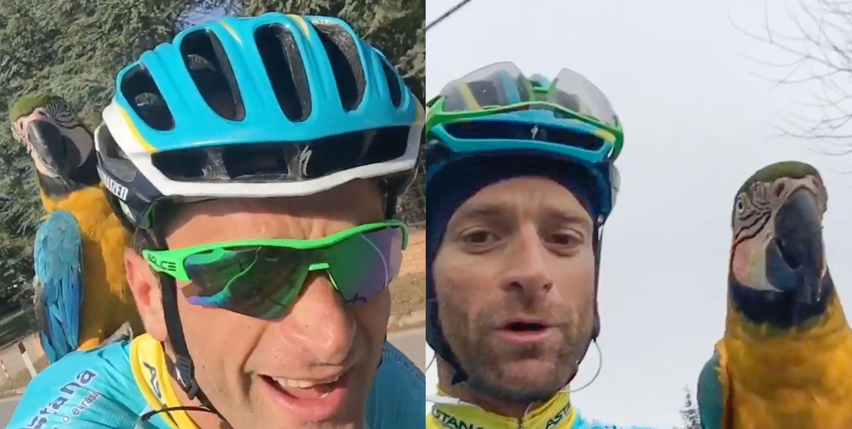 Michele Scarponi and Franky the parrot during training