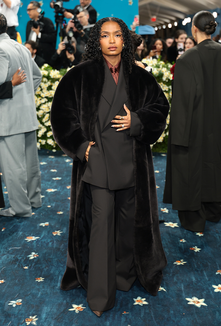 Met Gala 2025 red carpet