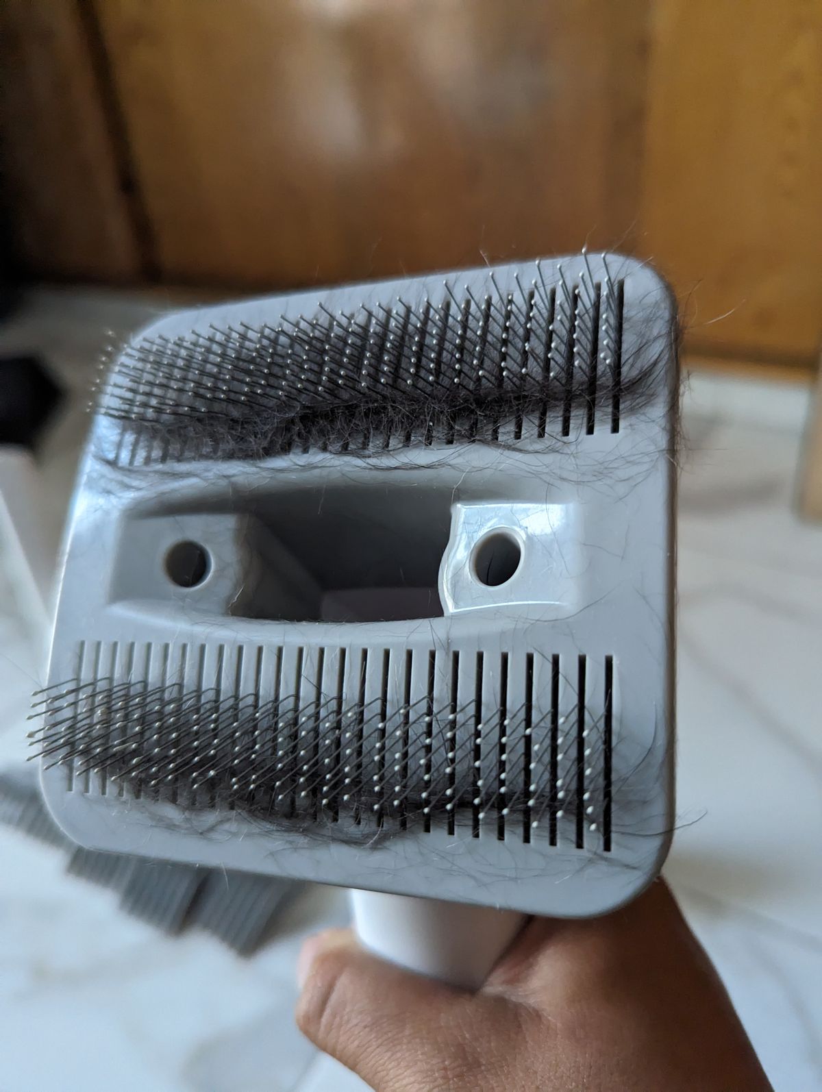 Cepillo P1 Pro