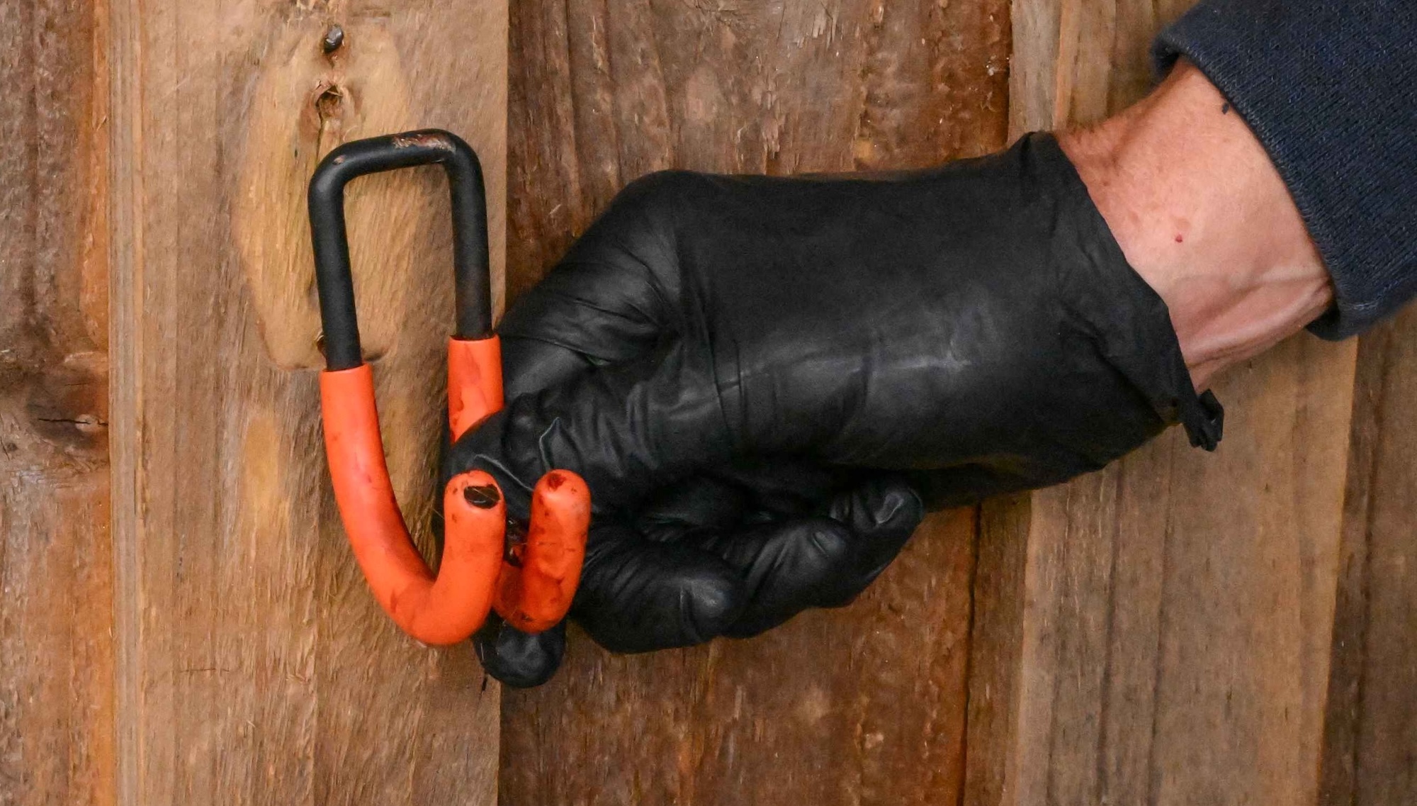 The 10cm rubber-coated hook after removal