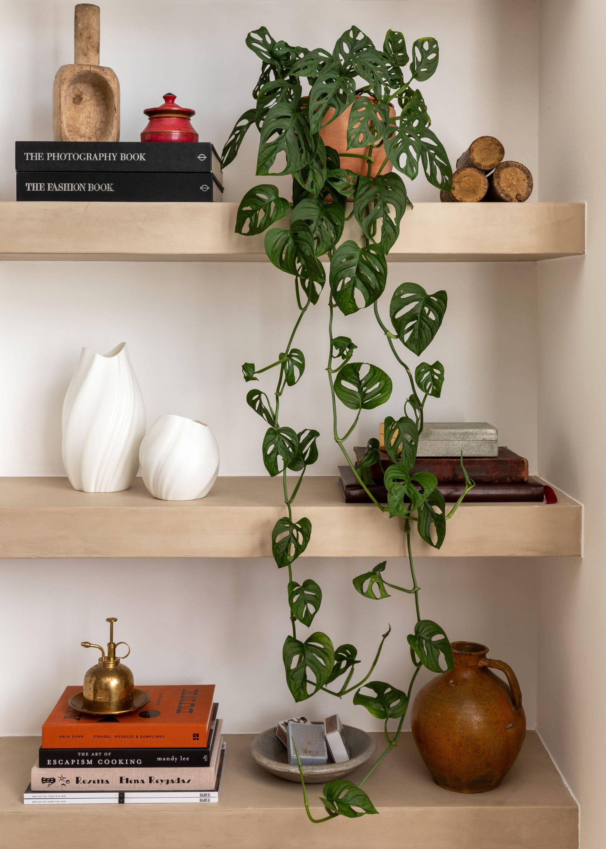 A trailing houseplant on a bookshelf. On the shelf are books and decorative vases.