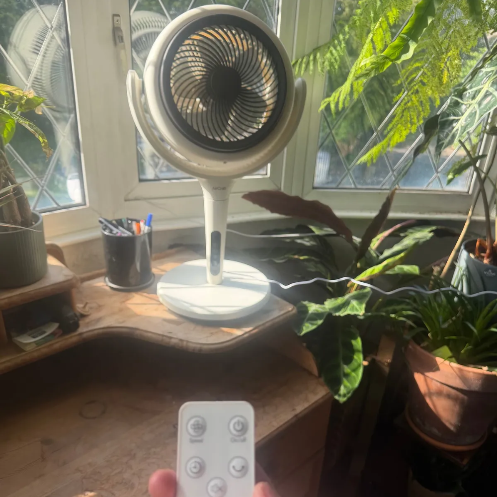 LUME Quiet Air Circulator Fan on a wooden table with plants next to it