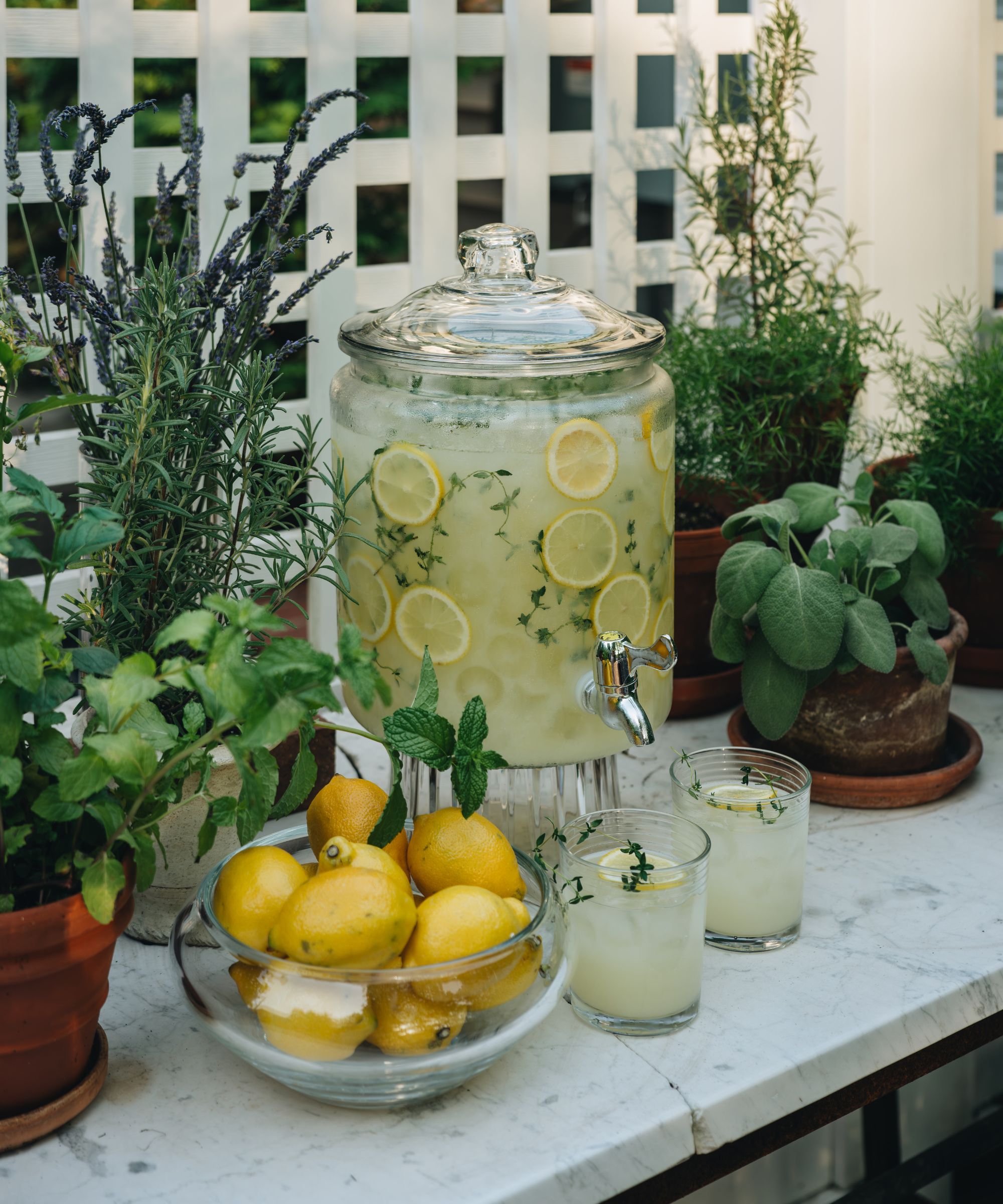 Outdoor lemonade bar with drinks dispenser, terracotta plant pots and bowl of lemons on a marble table