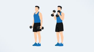 an illo of a man doing a hammer curl
