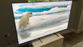 Mini LED TV: Sony XR-65X95L with a polar bear on screen