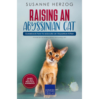 Raising An Abyssinian Cat | Amazon