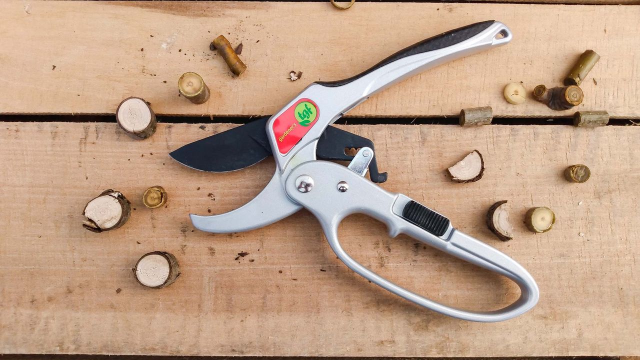 Best Pruning Shears: