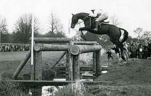 BADMINTON WEB GALLERY