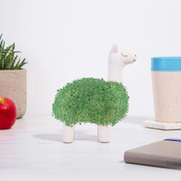 10. Llama Planter with Chia Seeds