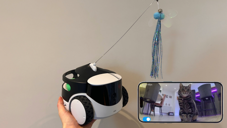 DOES CAT TRANSLATOR APP WORK visual data 7