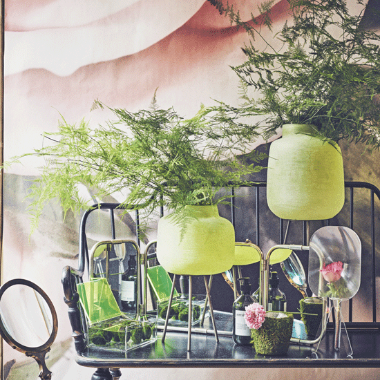 black bench with plant and mirror