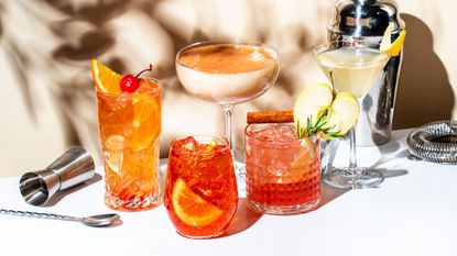 Some of the best cocktail glasses with a variety of cocktails: a negroni, an old fashioned, a mojito and an espresso martini