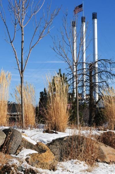 The park at the Old Mill has 4-6 inches of snow on it.