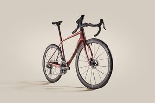 New Giant TCR Review