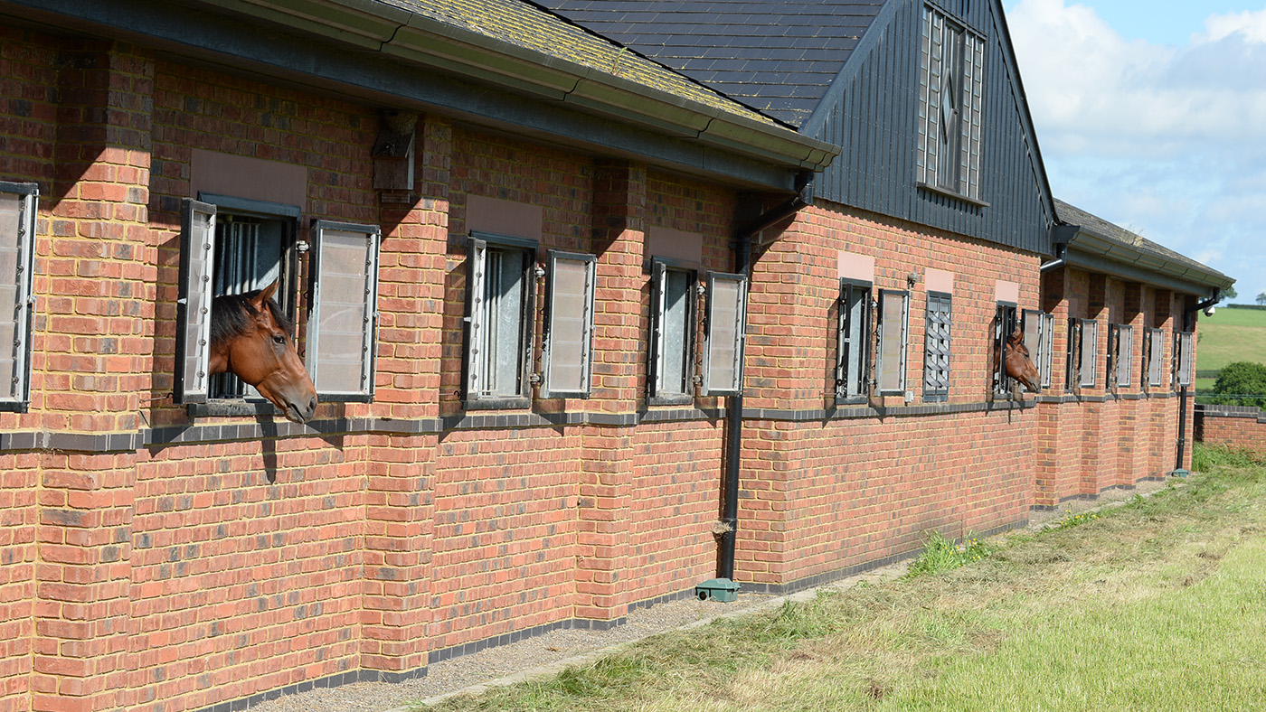 Racehorses looking out of their stable windows at Michael Owen's Manor House Stables
