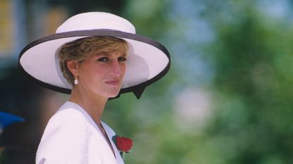 princess diana fashion brands