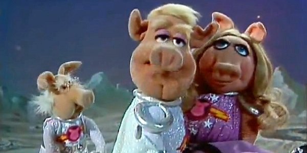 pigs in space