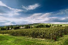 Le Clos Saint-Hilaire