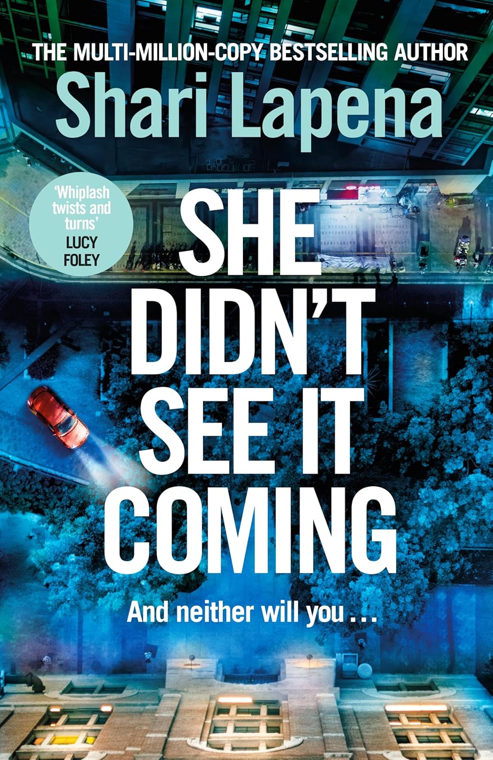 She Didn’t See It Coming by Shari Lapena