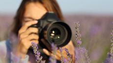 woman taking a photo of lavender with a camera