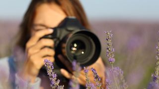 woman taking a photo of lavender with a camera