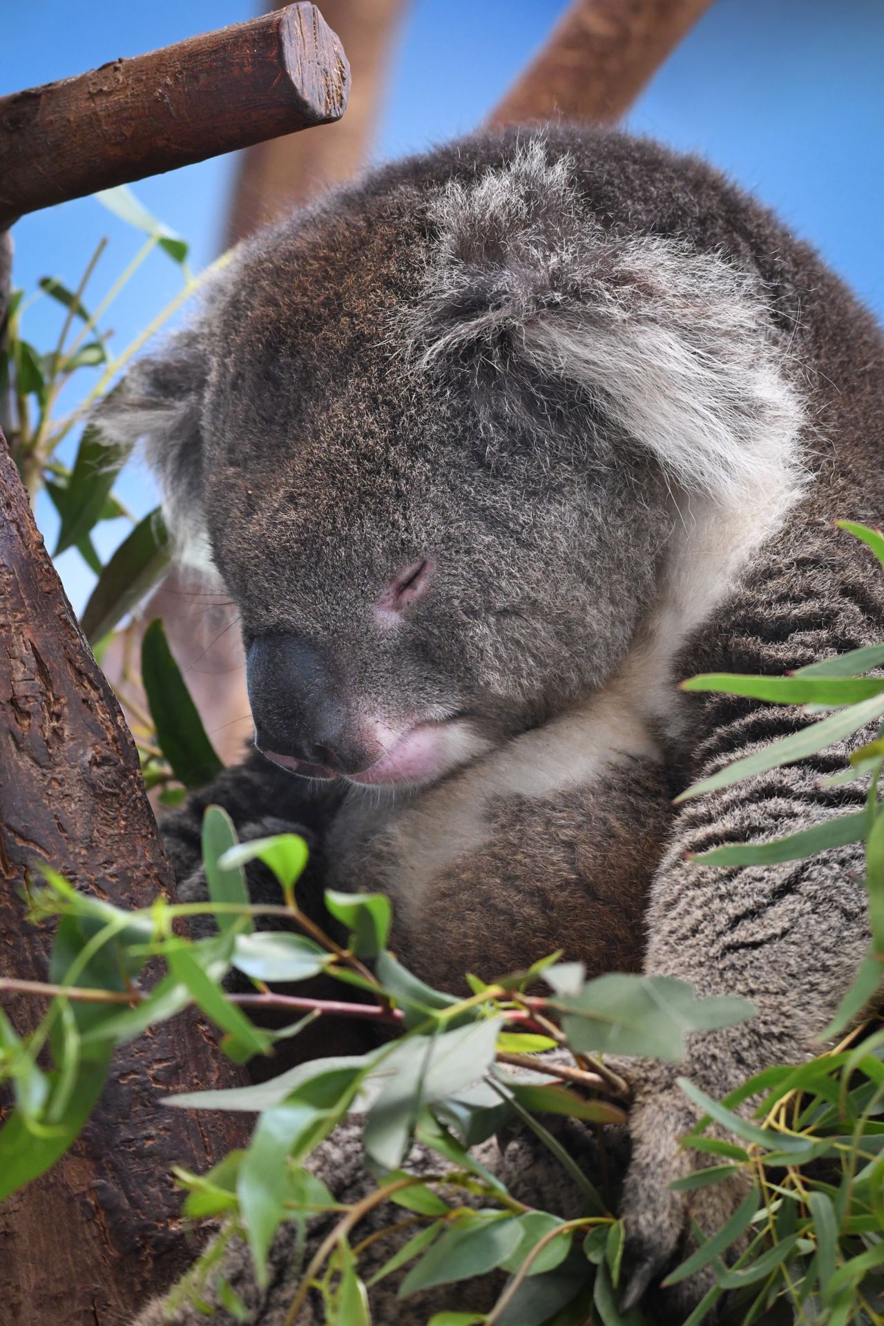 Nikon D500 sample image