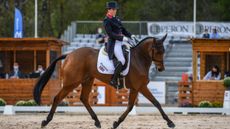 Pau Horse Trials 2020 Thursday dressage: Piggy French and Brookfield Inocent