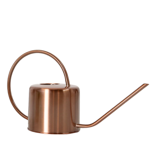 Metal Watering Can