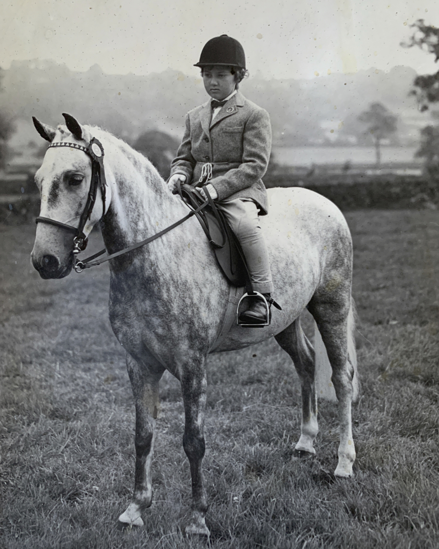 Clare_Baskey_Bennedon_Bambi_1956_396223632_693520651.jpg