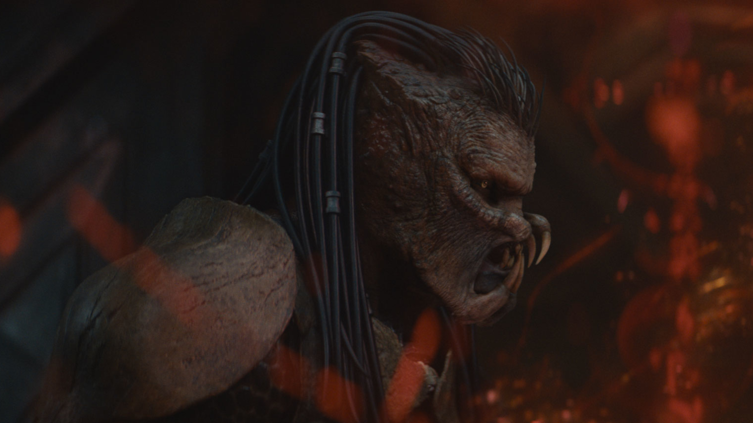 The Yautja warrior called Dek.