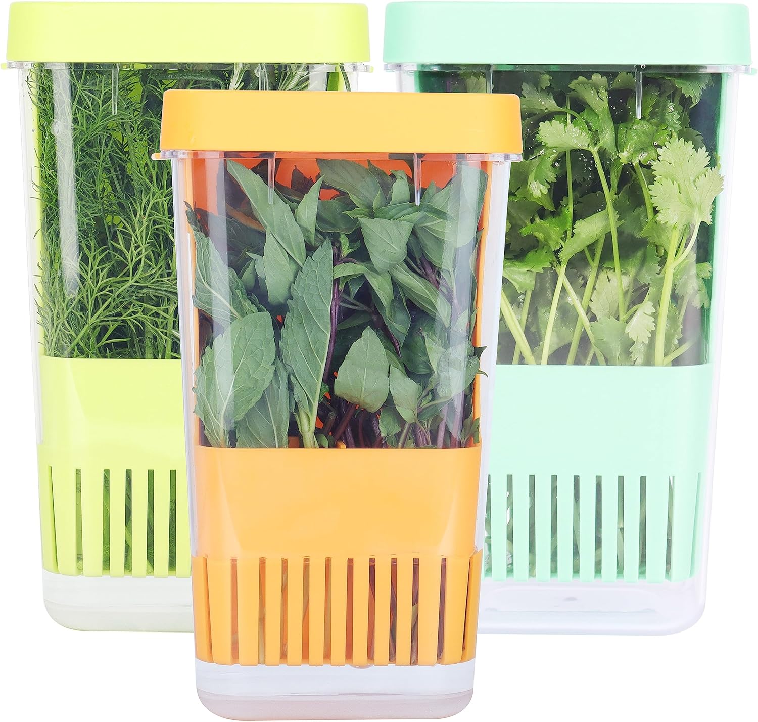 Lawnful 3 Pack Fresh Herb Keeper for Refrigerator, Clear Bpa-Free Herb Saver, Storage Container for Cilantro, Parsley, Thyme, Mint &amp;amp; Asparagus, Preserver Keeps Fresh Herbs, Green &amp;amp; Blue &amp;amp; Orange