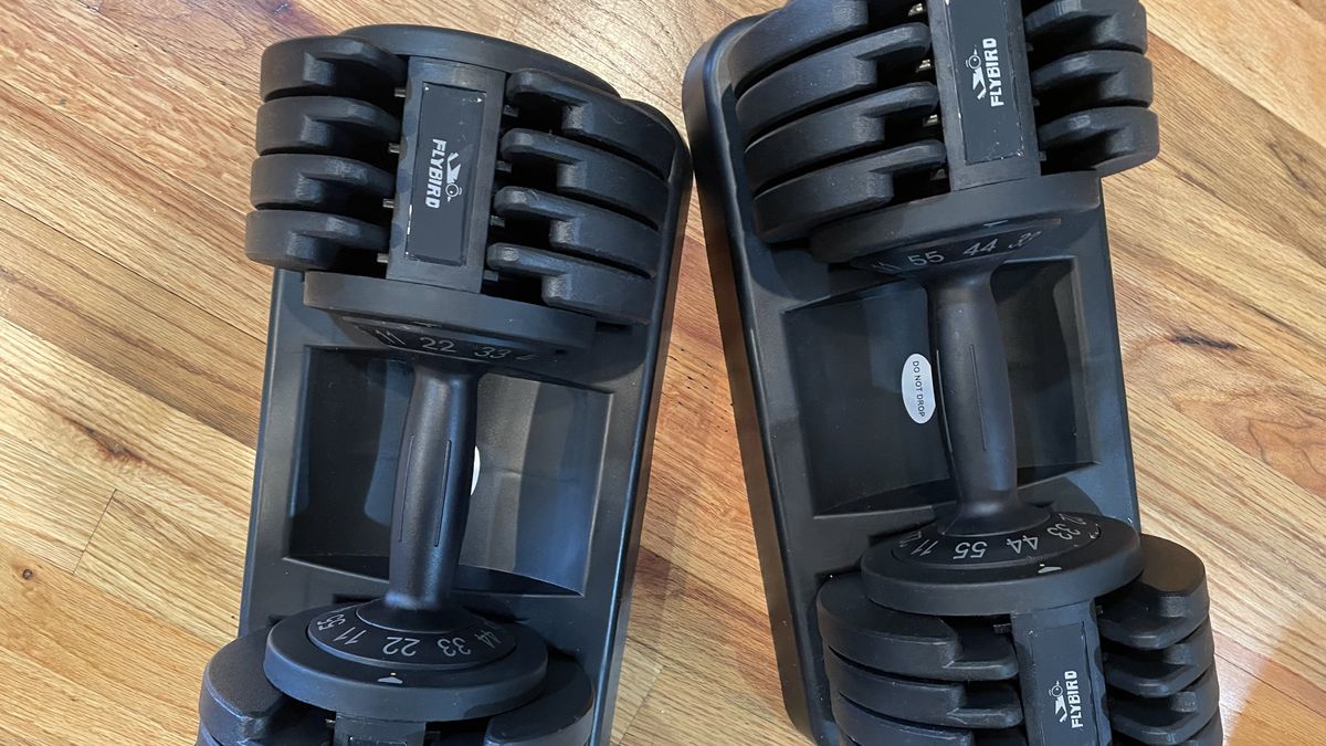 Best Adjustable Dumbbells 2024 | Live Science