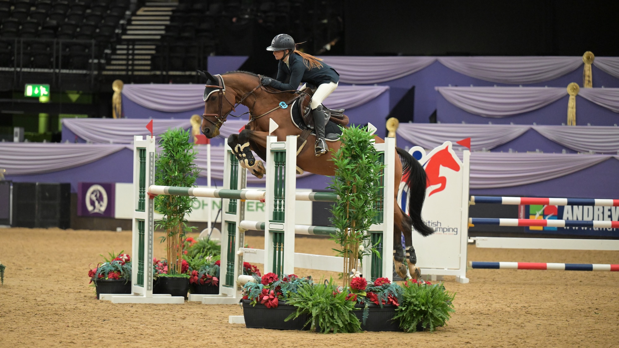 A rider and bay horse clear an oxer at HOYS