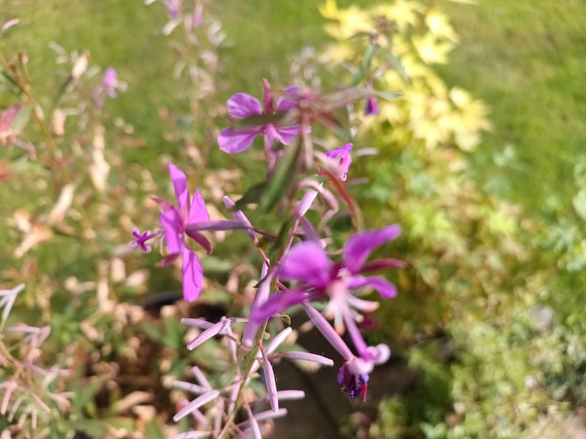 Fossibot F102 Photo Examples