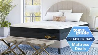 Nolah Evolution 15 Mattress on a stylish bedframe in a room with two large windows overlooking a garden, and a Black Friday mattress deals badge overlaid in blue
