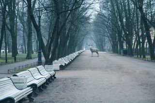 A grey hue hangs over an abandoned park. A walkway lined with benches makes its way forward, where a buck stands staring at you, tall antlers crown its head.