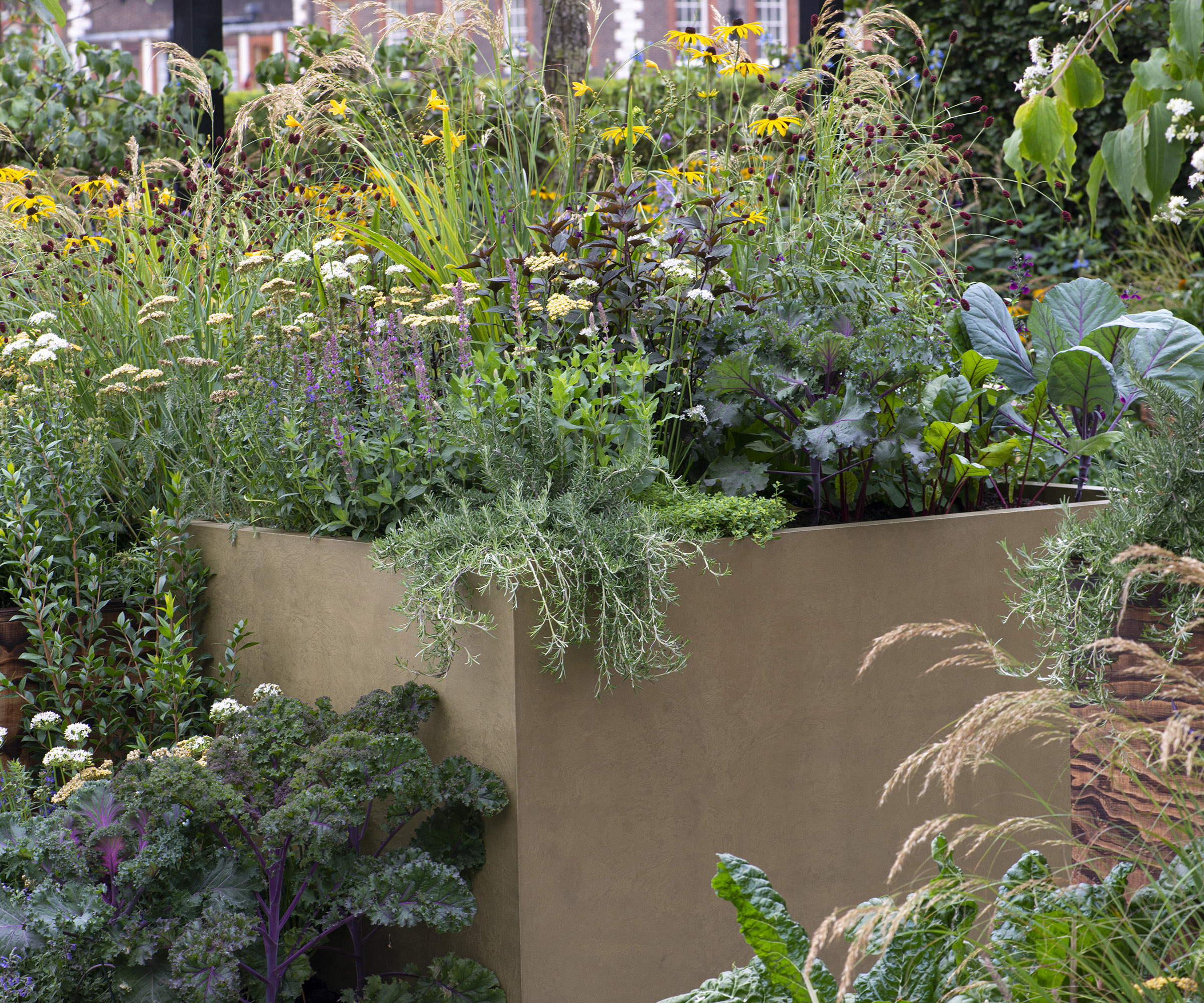 Planting a container with edibles and ornamental scented herbs